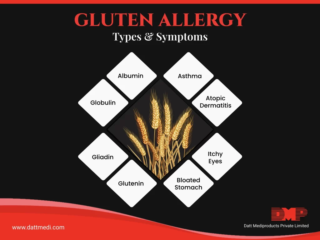Wheat or Gluten Allergy